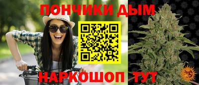 спиды Обь