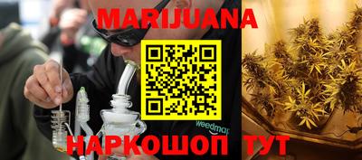 спиды Обь