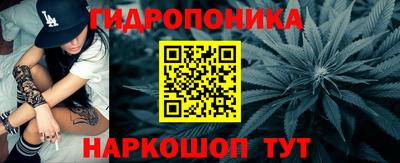 спиды Обь