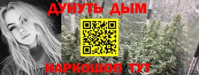 спиды Обь